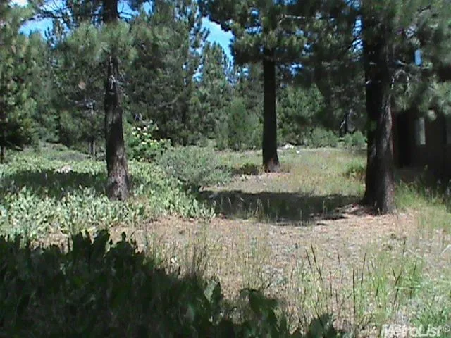 a view of a water fountain