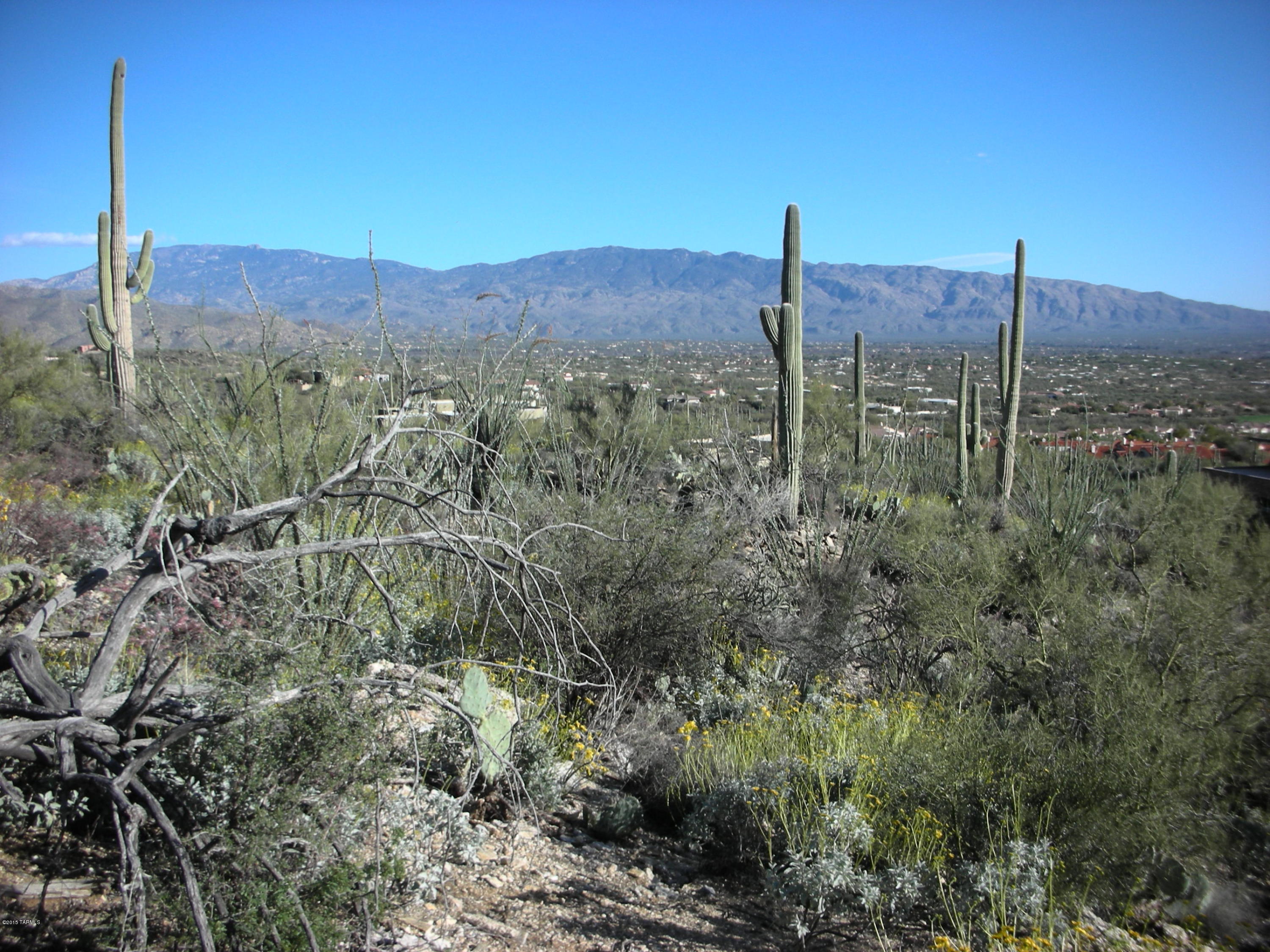 West Rhyolite Loop Tucson, AZ 85745 - Photo 1 of 12