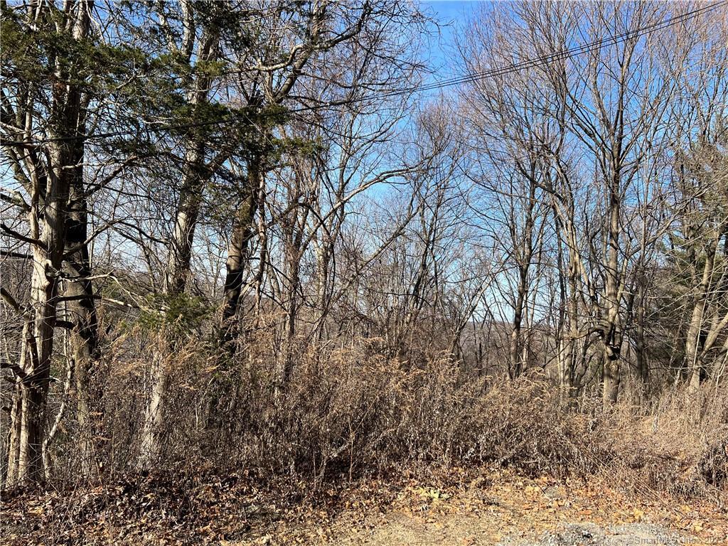 3 Mountain Road New Fairfield, CT 06812 - Photo 1 of 1 Wooded Lot Ready for your Dream Home