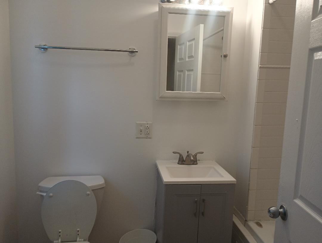 2236 West Monroe Street Chicago, IL 60612 - Photo 12 of 36 a bathroom with a sink and mirror with toilet