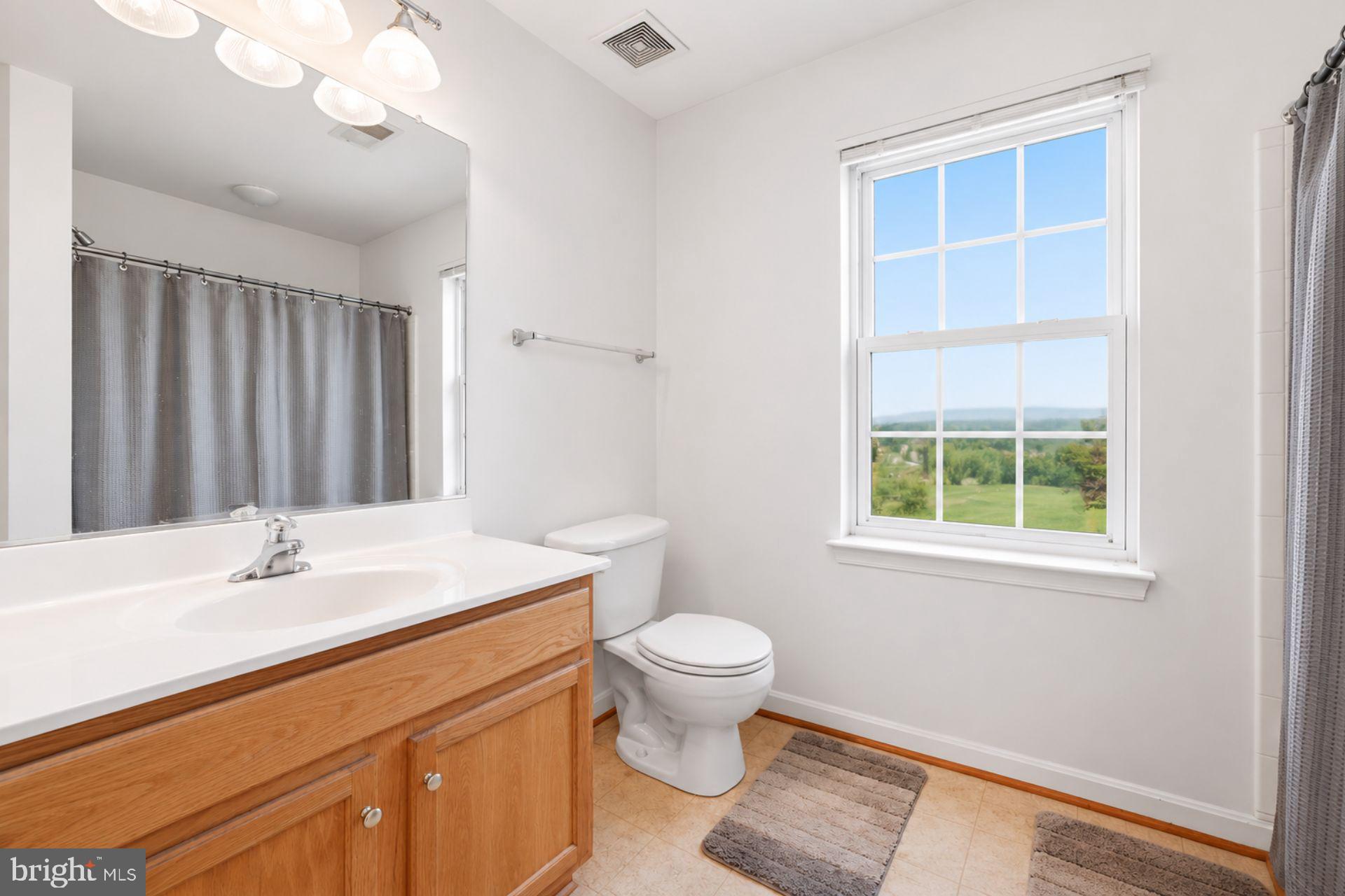 35464 Somerset Ridge Road Locust Grove, VA 22508 - Photo 16 of 30