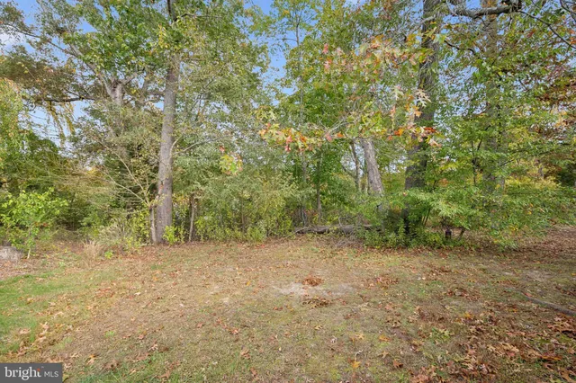 a view of a field with trees in the background