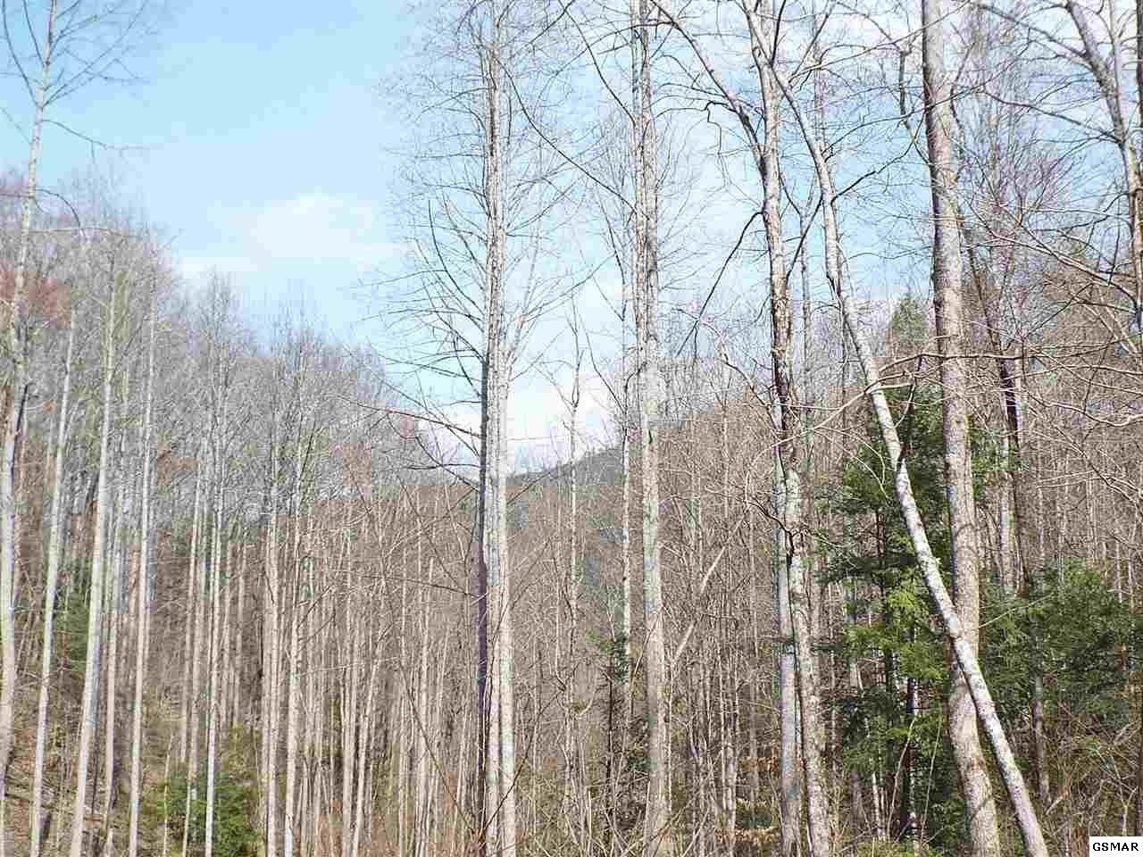 7903 Ground Hog Road Cosby, TN 37722 - Photo 10 of 35 Gallery Image 10