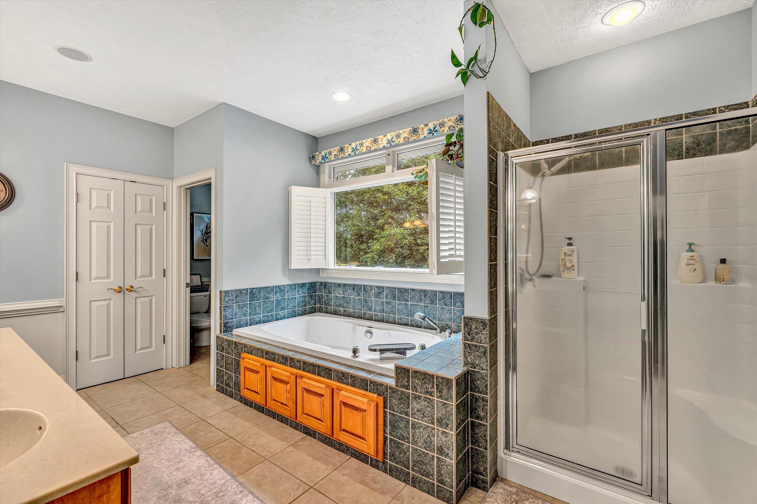 239 Cedar Bay Road Union Hall, VA 24176 - Photo 20 of 51 a bathroom with a tub a sink and a shower