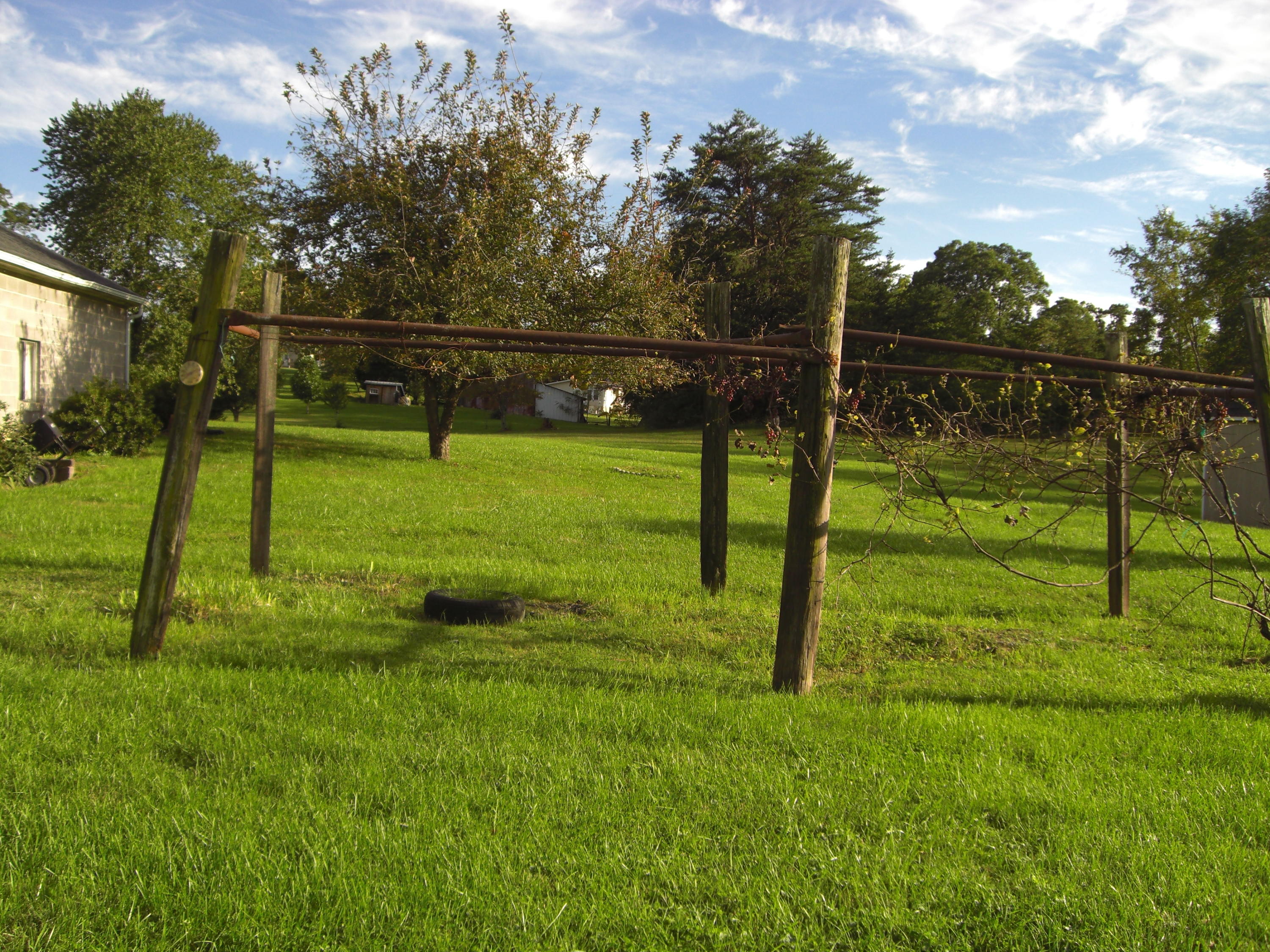 4461 Goodman Road Roanoke, VA 24014 - Photo 16 of 18 Grape Vines