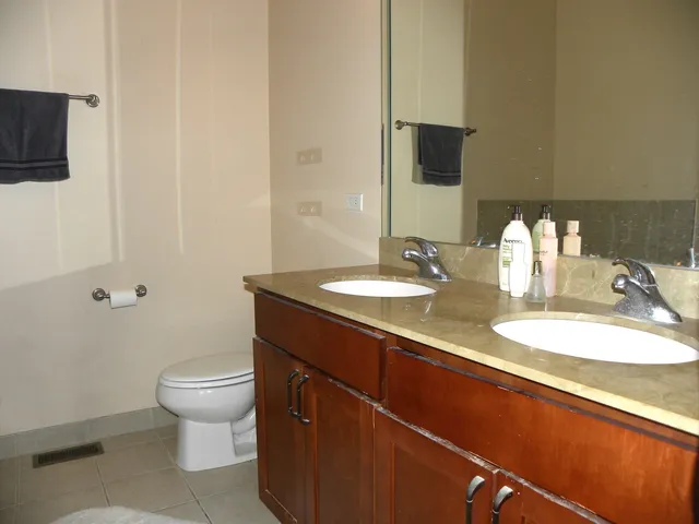 $2,900 | 57 Northfield Terrace, Unit 57, Wheeling, IL 60090