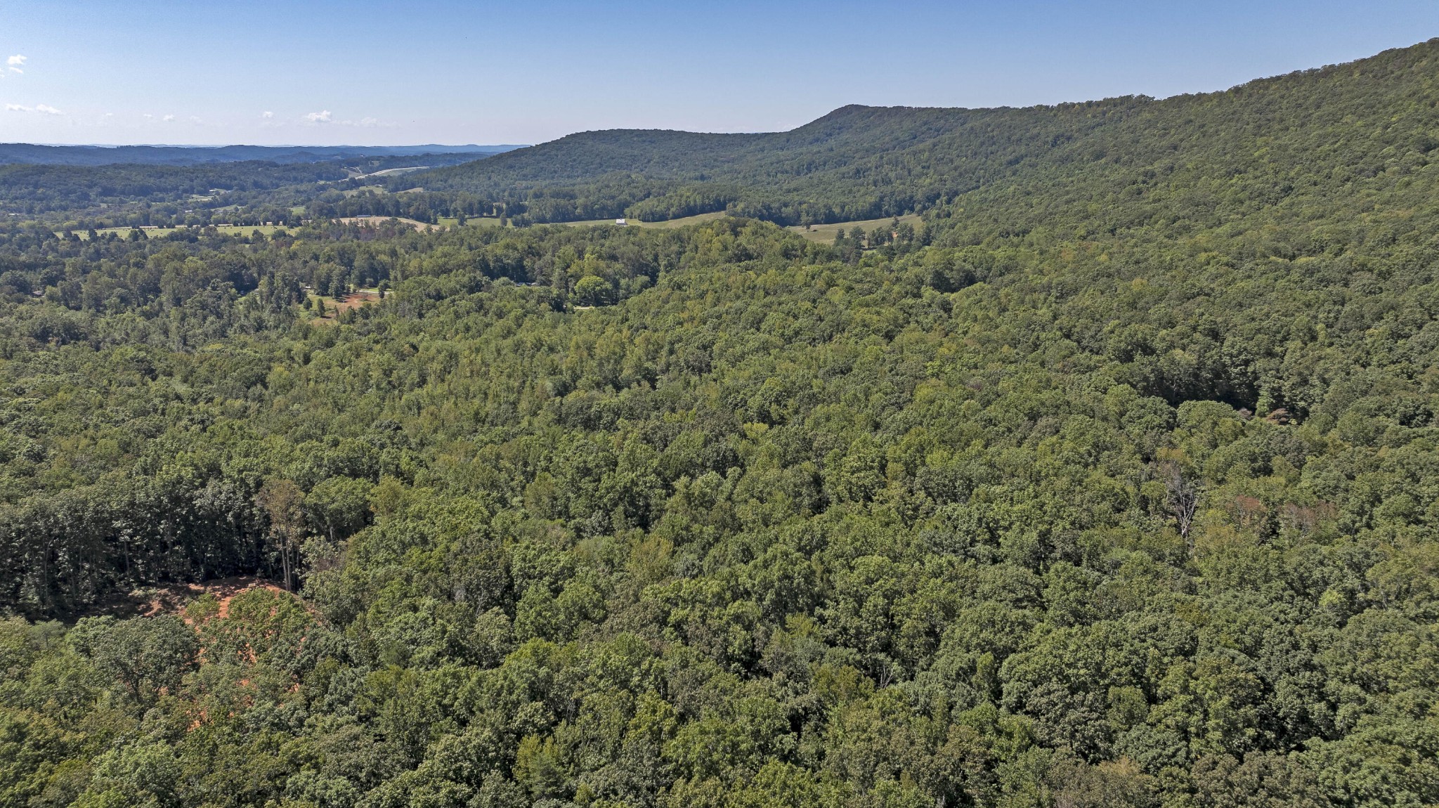 286 Clifton Cemetery Road Spring City, TN 37381 - Photo 7 of 19