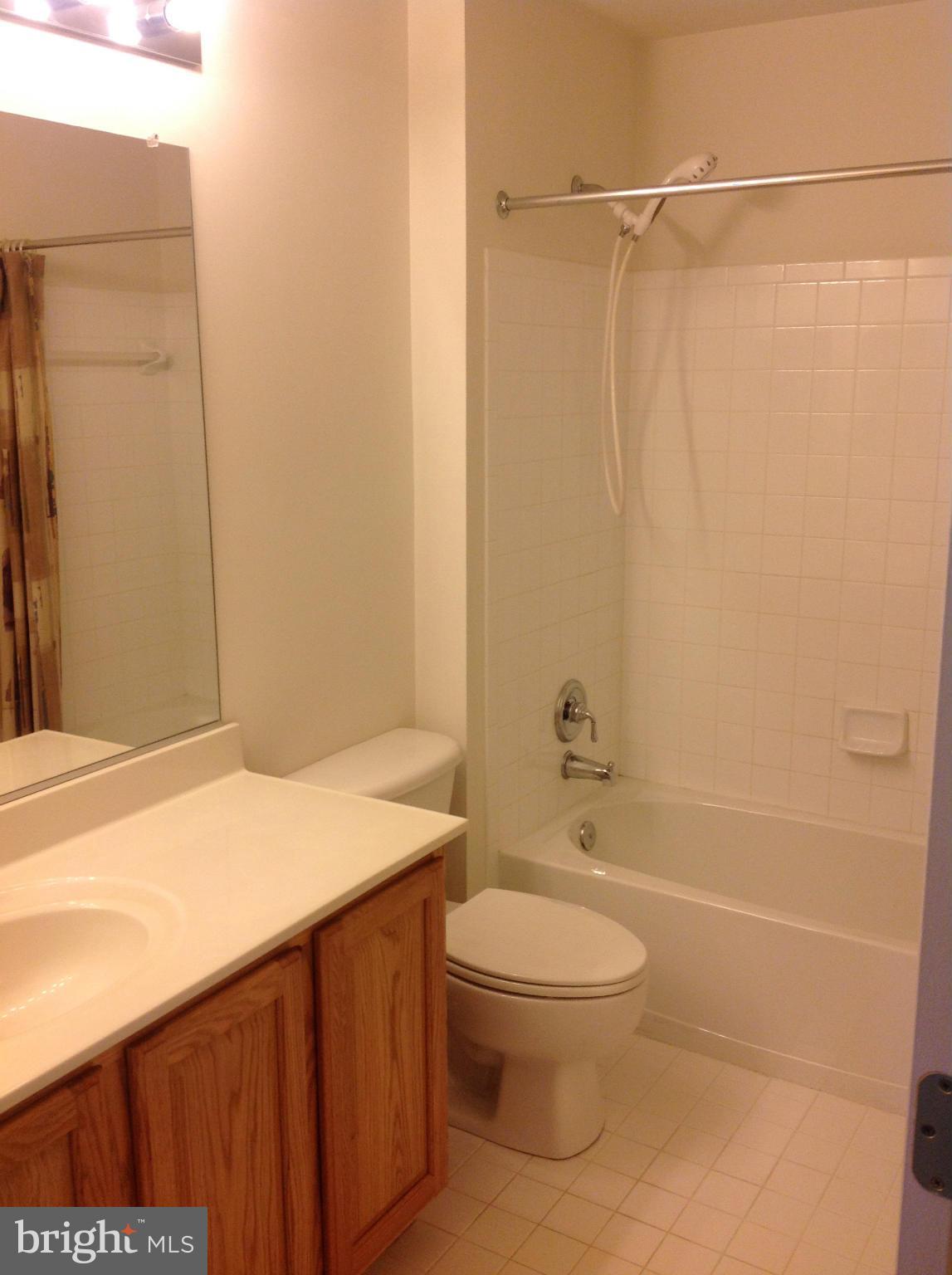 8200 Michaels Ridge Ellicott City, MD 21043 - Photo 12 of 15 Bath