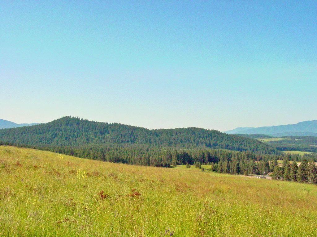 405 Ridgetop Way Colville, WA 99114 - Photo 1 of 14
