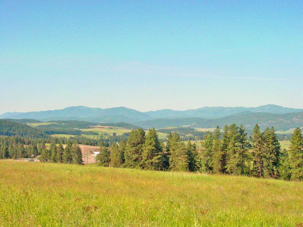405 Ridgetop Way Colville, WA 99114 - Photo 2 of 14