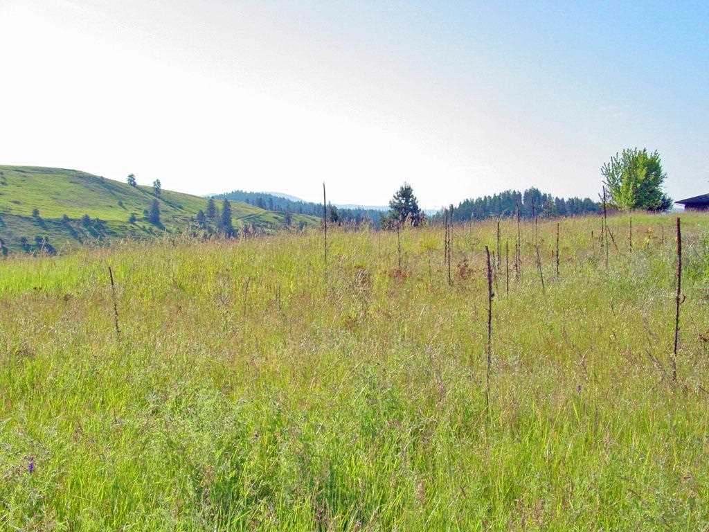 405 Ridgetop Way Colville, WA 99114 - Photo 11 of 14
