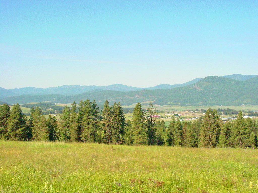 405 Ridgetop Way Colville, WA 99114 - Photo 3 of 14