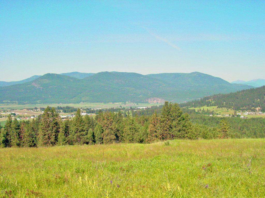405 Ridgetop Way Colville, WA 99114 - Photo 4 of 14