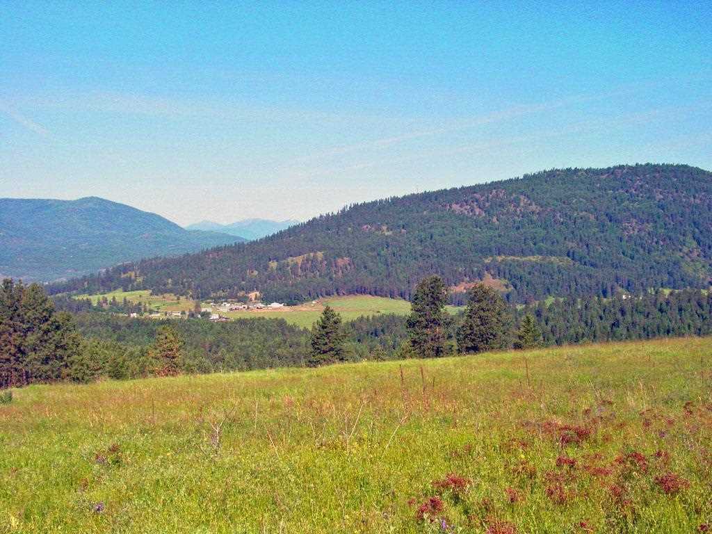 405 Ridgetop Way Colville, WA 99114 - Photo 5 of 14
