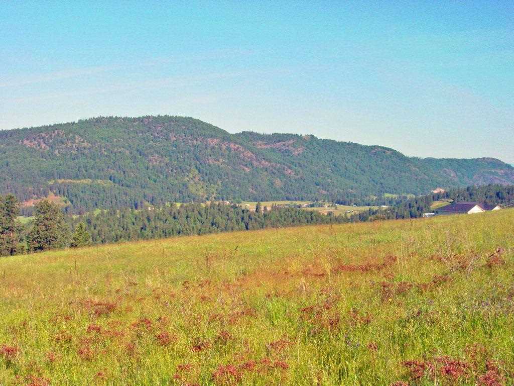 405 Ridgetop Way Colville, WA 99114 - Photo 6 of 14