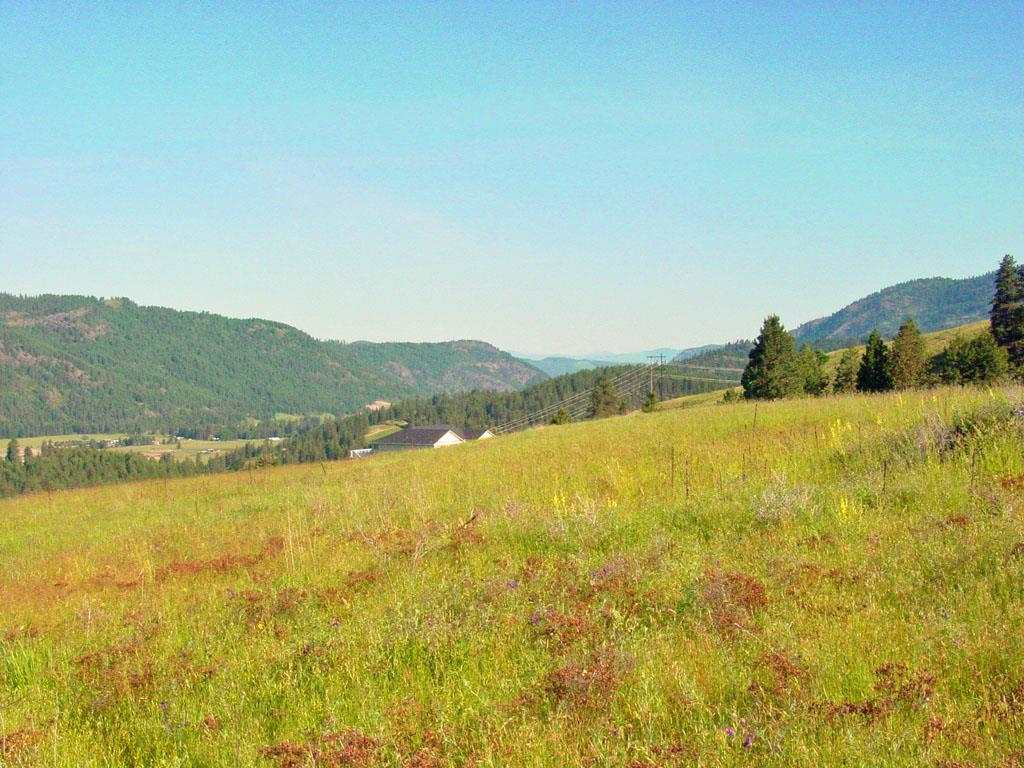 405 Ridgetop Way Colville, WA 99114 - Photo 7 of 14