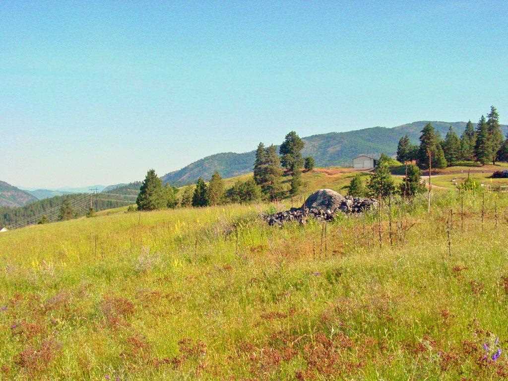 405 Ridgetop Way Colville, WA 99114 - Photo 8 of 14