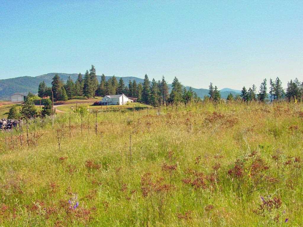 405 Ridgetop Way Colville, WA 99114 - Photo 9 of 14