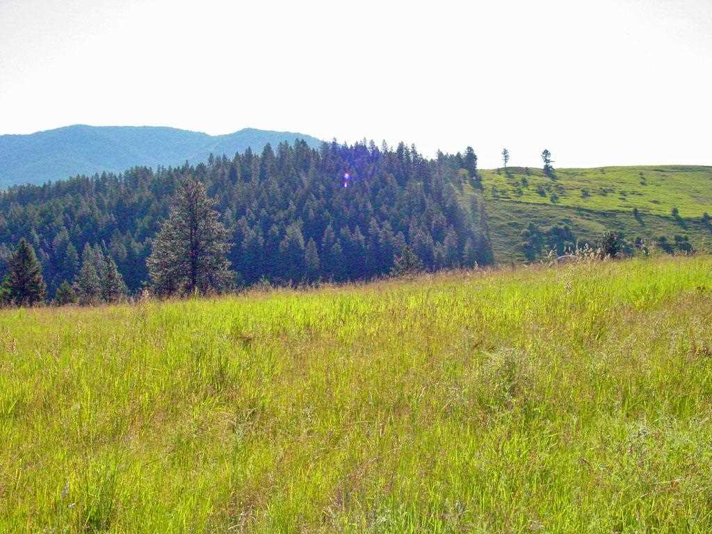 405 Ridgetop Way Colville, WA 99114 - Photo 10 of 14
