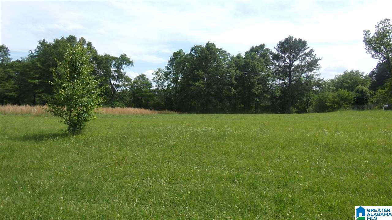 3029 Nixon Road Bessemer, AL 35022 - Photo 9 of 27