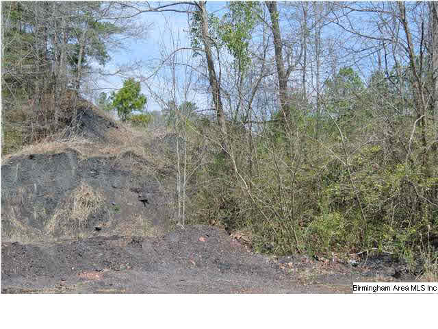 3522 County Road 22 Montevallo, AL 35115 - Photo 1 of 4