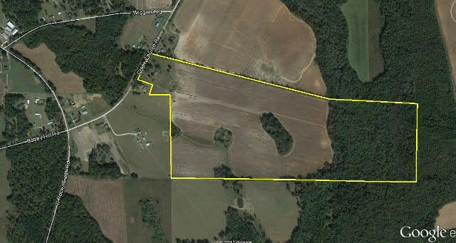 3661 Creek Church Road Ashford, AL 36312 - Photo 1 of 1