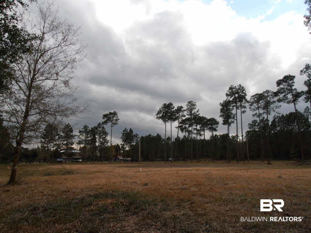 29409 Archie Road Elberta, AL 36530 - Photo 19 of 20 Facing South