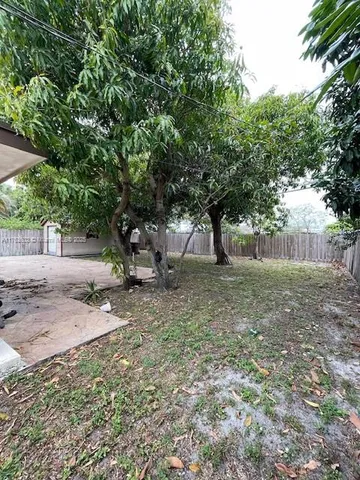 a view of a yard with a tree