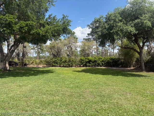 5330 Lakewood Road Sebring, FL 33875 - Photo 15 of 19 a view of a field of grass and trees