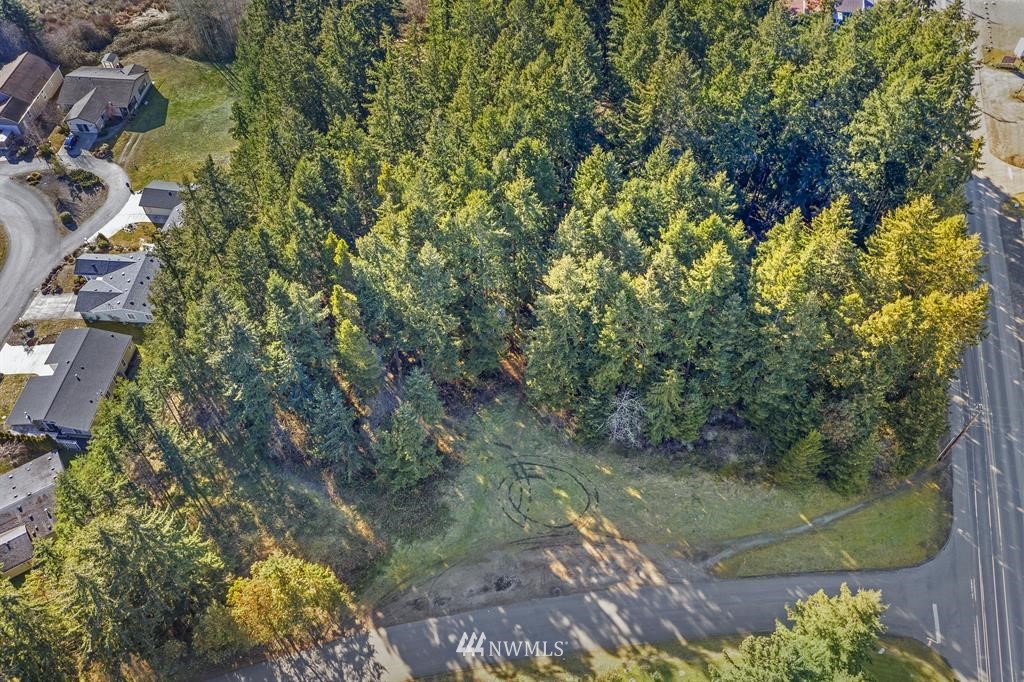 a view of a yard