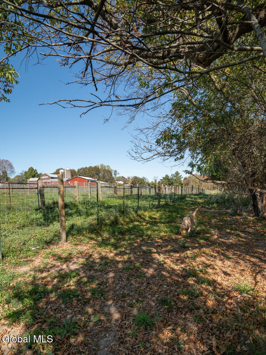 282 Ridge Road Stuyvesant, NY 12156 - Photo 66 of 81 DSC04017