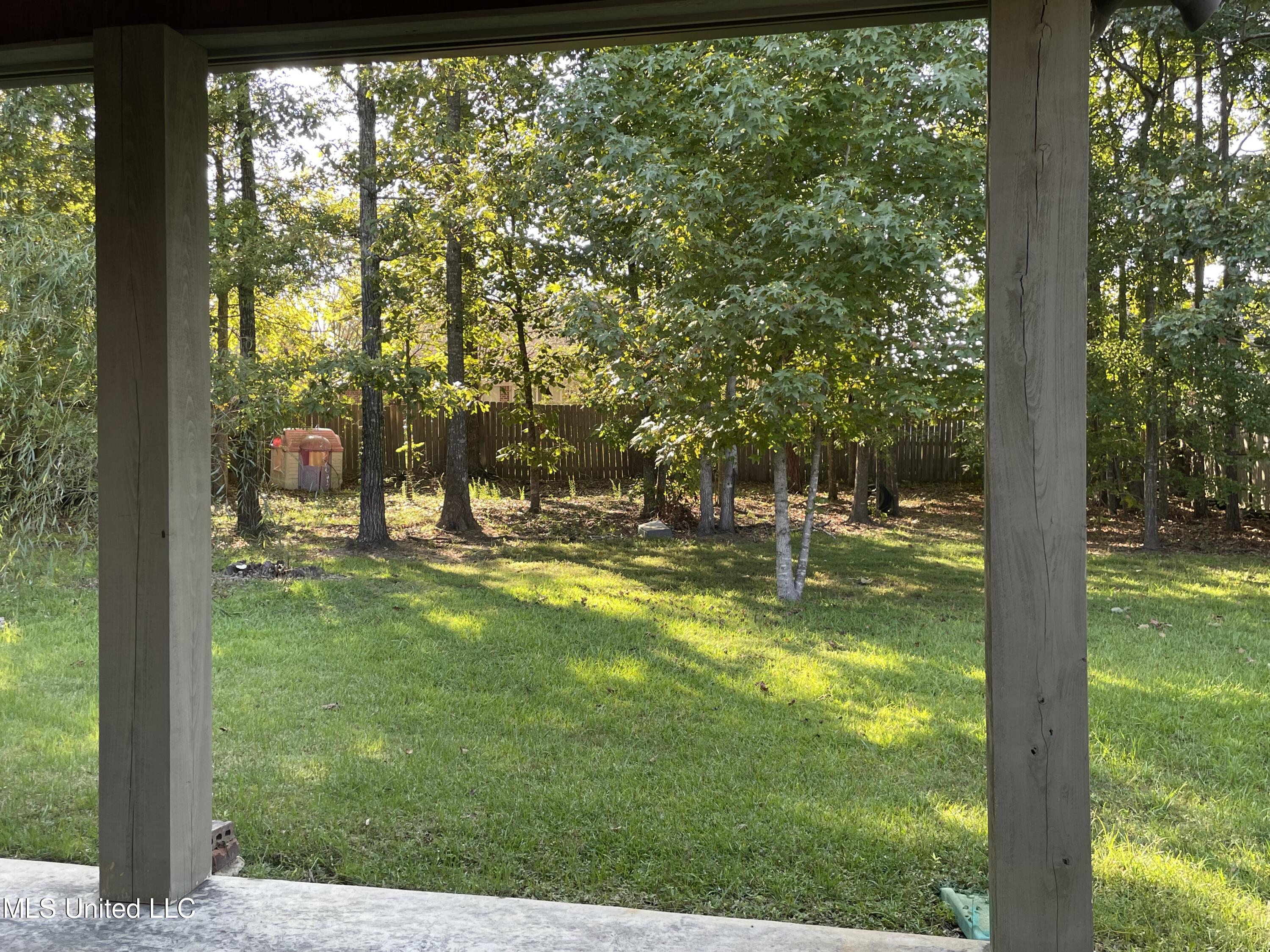 143 Huntington View Brandon, MS 39047 - Photo 52 of 56 lYard1