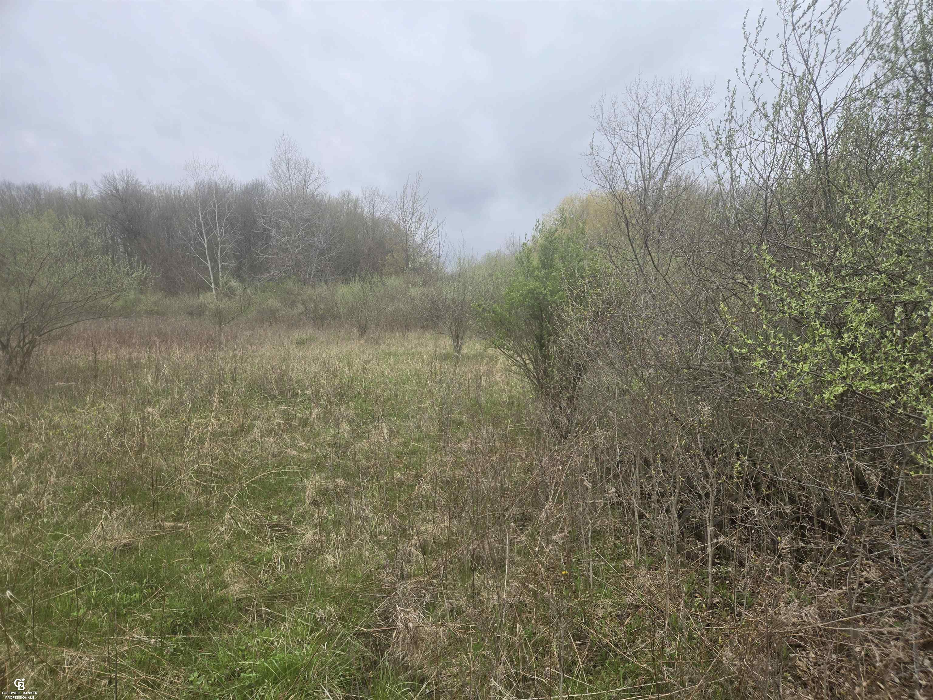5637 Metcalf Road North Street, MI 48049 - Photo 9 of 13