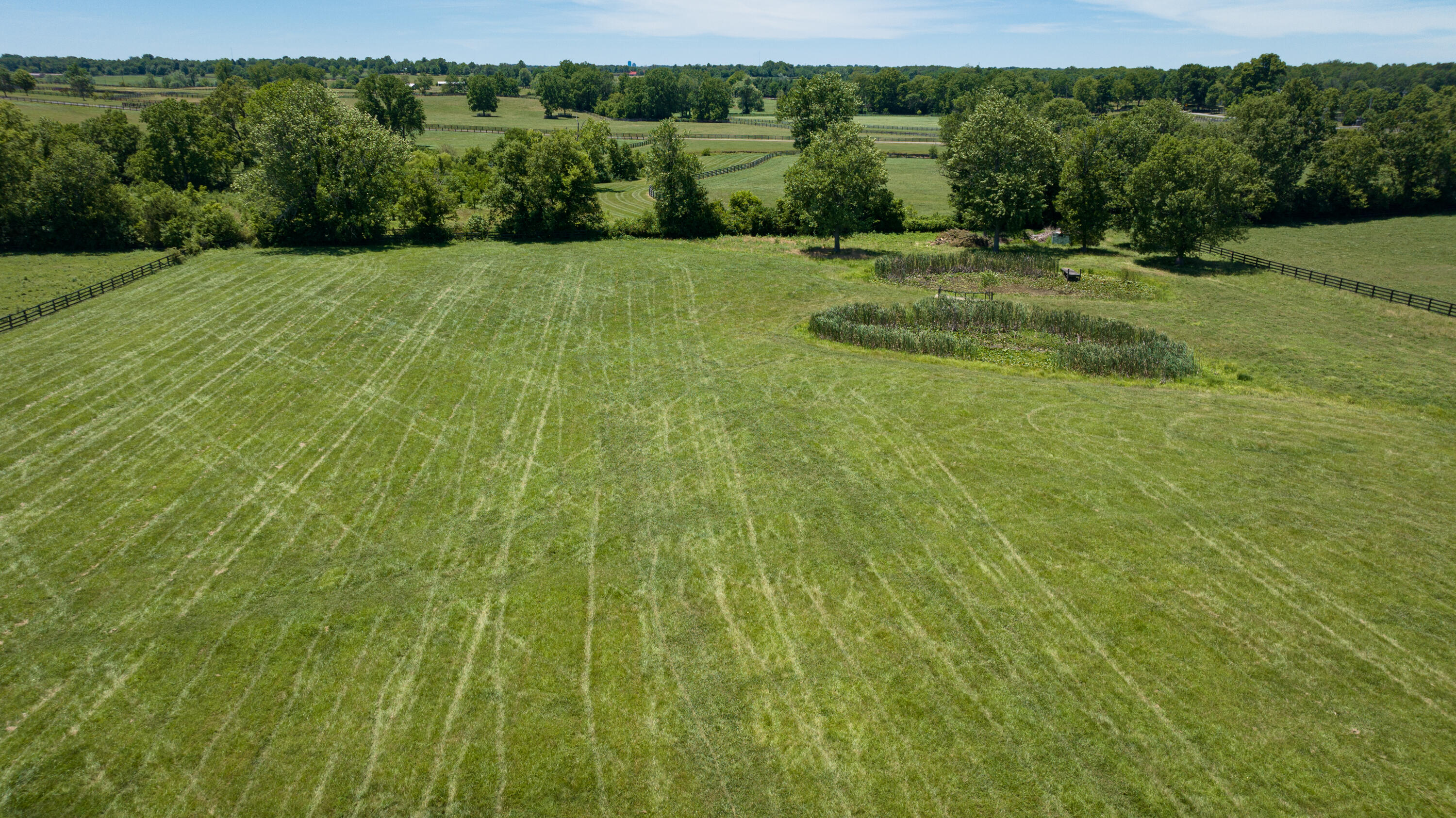 1101 Muir Station Road Lexington, KY 40516 - Photo 31 of 39 24_0701_1101 Muir Station_mw-0547