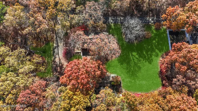 a view of yard with green space