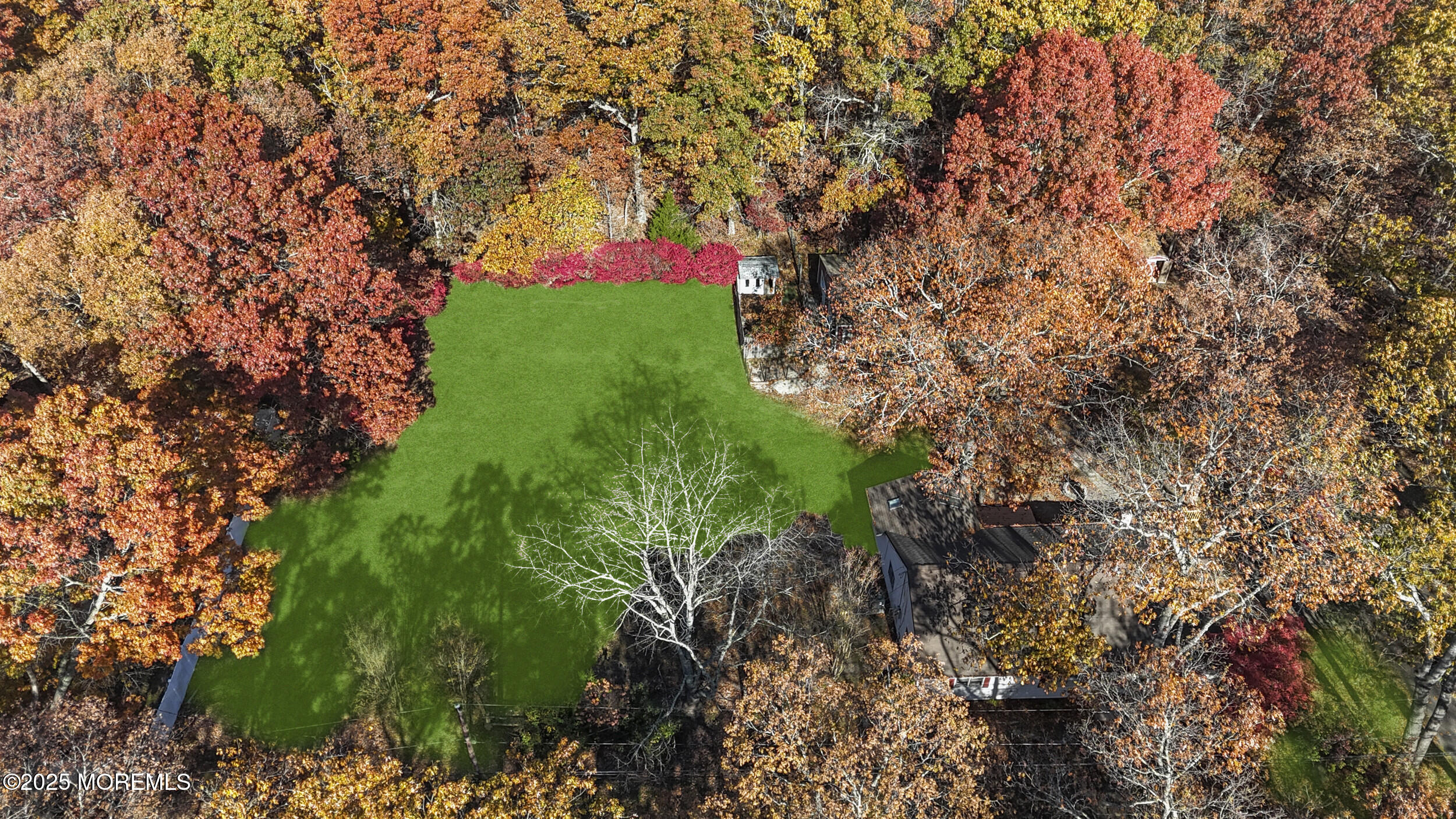 31 Rappleyea Court Howell, NJ 07731 - Photo 25 of 30 a lush green forest with lots of trees