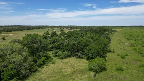 a view of a lush green forest with lots of trees