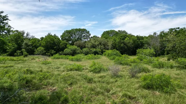 a view of a green field with lots of bushes