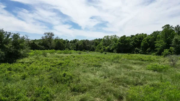 a view of a green field with lots of bushes