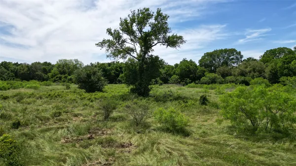 a view of a field of grass and trees