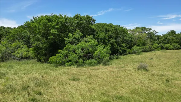 a view of a field of grass and trees