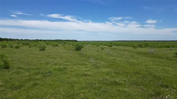 a view of a lake from a yard