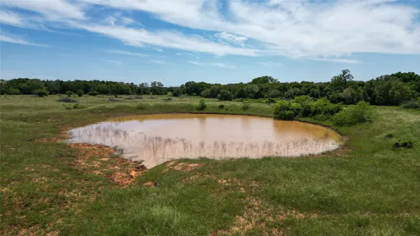 a view of a field with an ocean