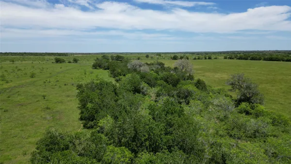 a view of a green field with lots of green space