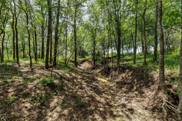 a view of outdoor space with lots of trees
