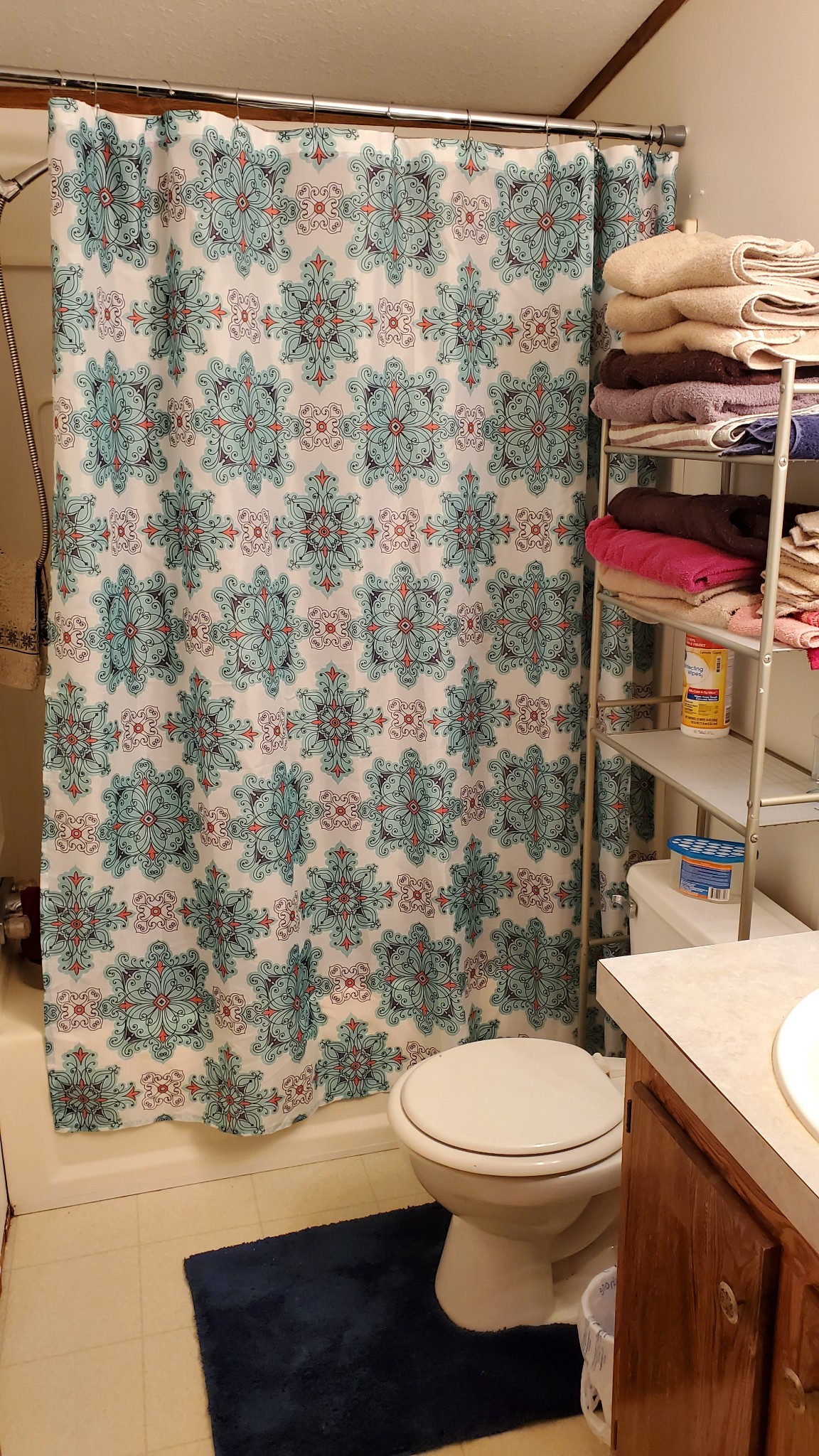 9000 Aunt Helen Road Silver Point, TN 38582 - Photo 22 of 27 a bathroom with a toilet and a sink