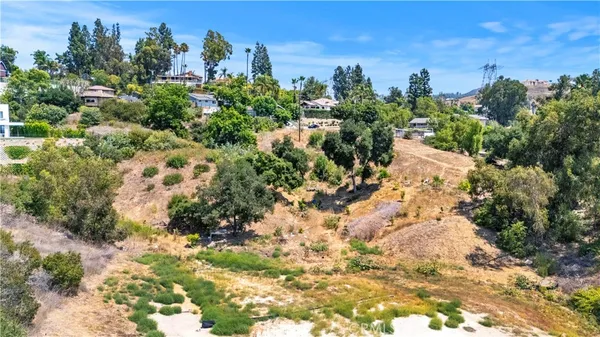 a view of a bunch of trees