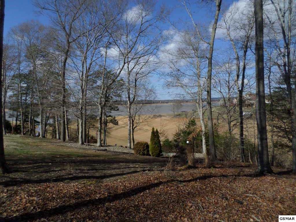 19 Devon Way Road White Pine, TN 37890 - Photo 4 of 7 Gallery Image 4