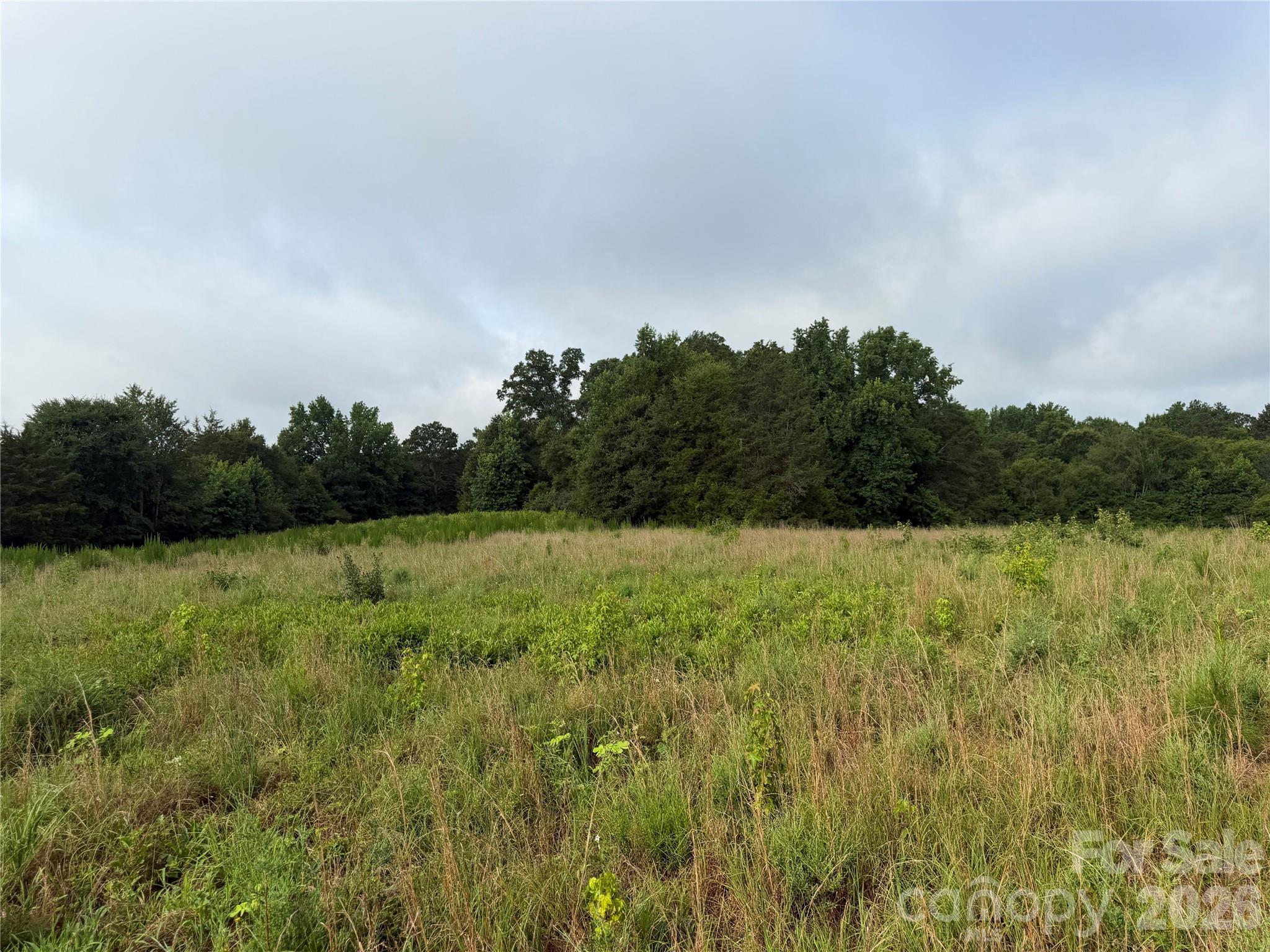 0 West Chappell Road McConnells, SC 29726 - Photo 16 of 35 Gallery Image 16