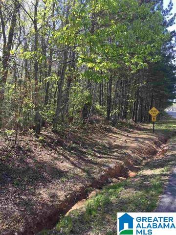 1331 Cedar Creek Road, Unit 4 ACRES Odenville, AL 35120 - Photo 17 of 20